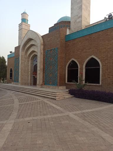 عکس مسجد علی ابن موسی الرضا