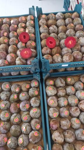 عکس پخش میوه و تره بار هاشمی