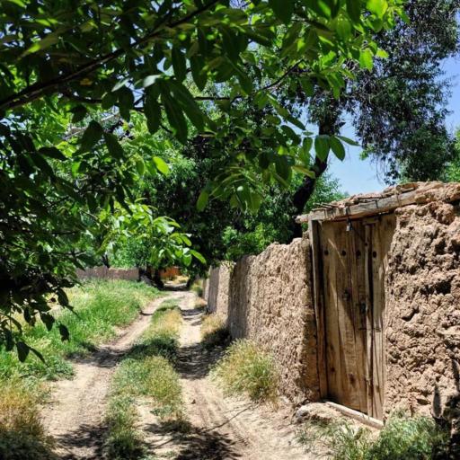 عکس خورهه