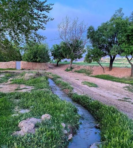 عکس خورهه
