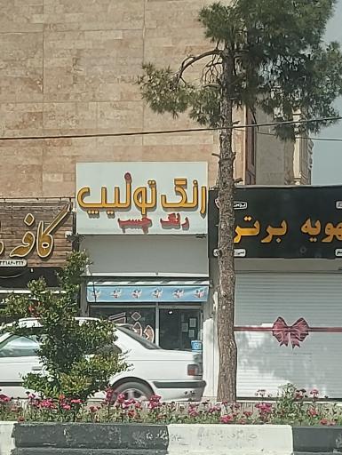 عکس رنگ و چسب تولیپ