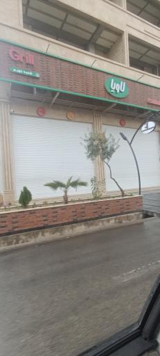 عکس برگرهای تخصصی لاویا