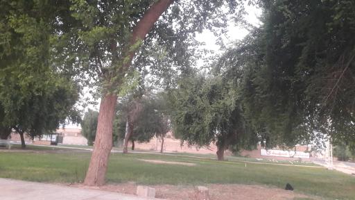عکس پارک سردار شهید قاسم سلیمانی