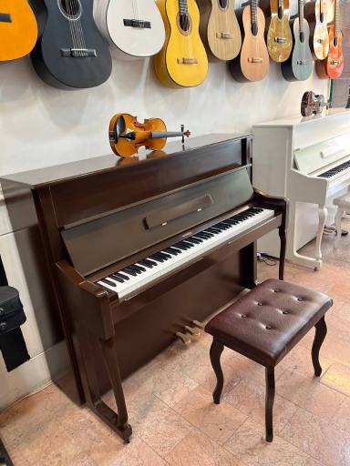 عکس فروشگاه موسیقی سازک