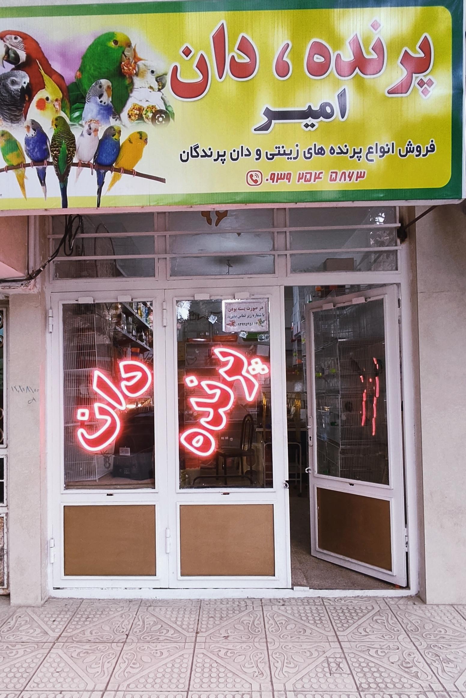 عکس پرنده دان امیر