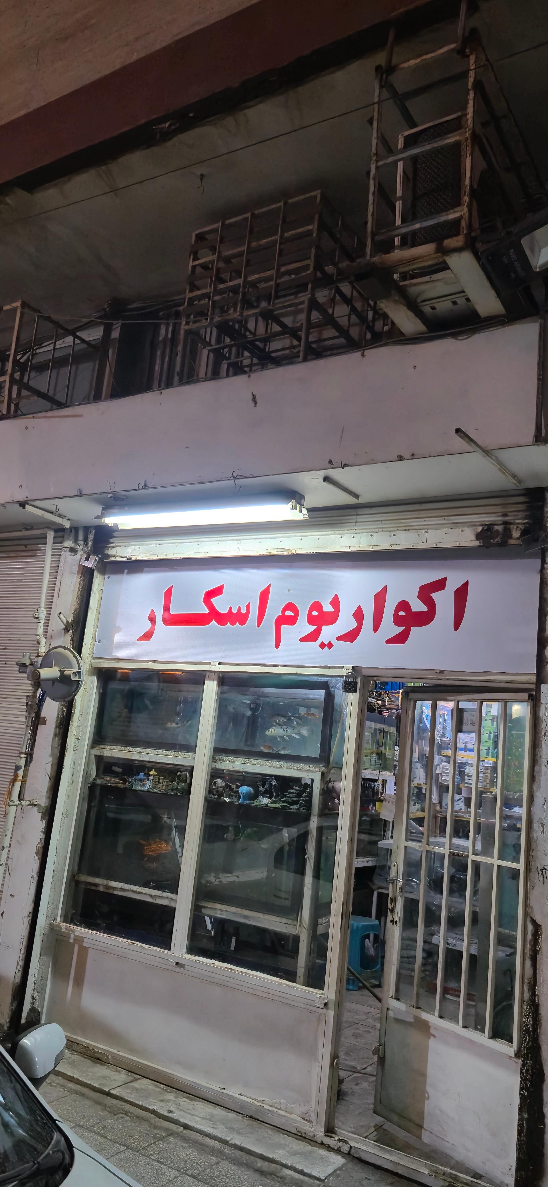 عکس آکواریوم اسکار