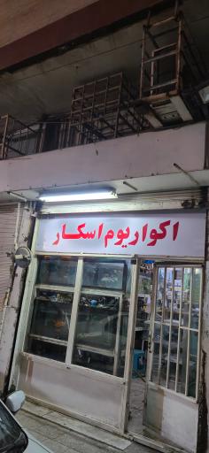 آکواریوم اسکار