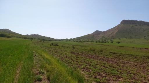 عکس تنگ شوهان سفلی