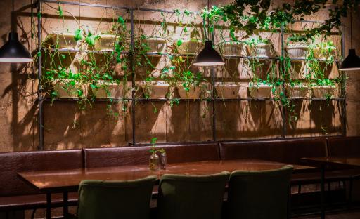 عکس کافه گون