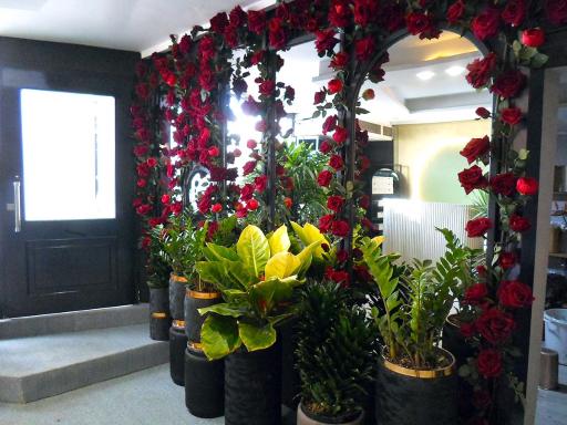 عکس گل نسترن