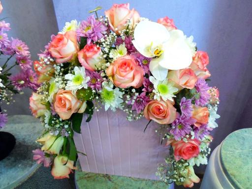 عکس گل نسترن