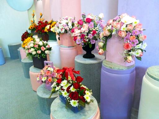 عکس گل نسترن