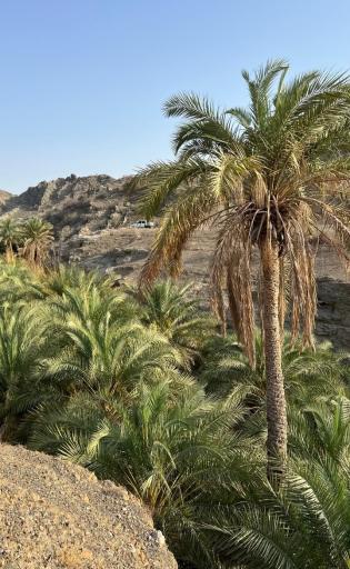 عکس قلعه گنج