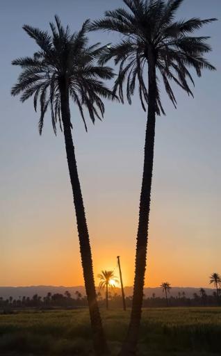 عکس قلعه گنج