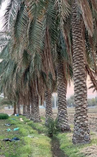 عکس قلعه گنج