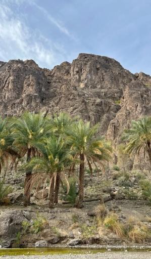 عکس قلعه گنج