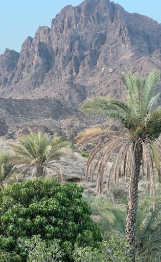 عکس قلعه گنج