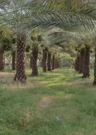 عکس قلعه گنج