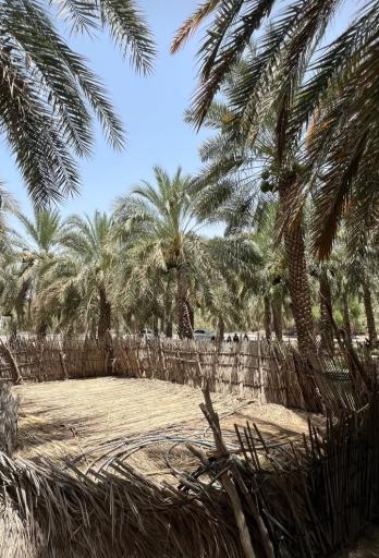 عکس قلعه گنج