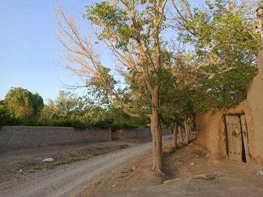 عکس نجف آباد