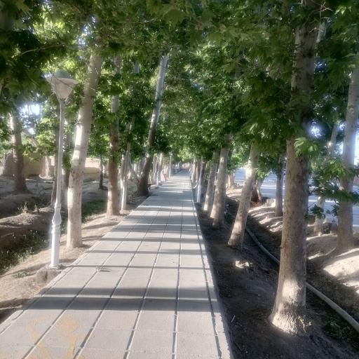 عکس پیاده‌ راه تفریحی بیشه