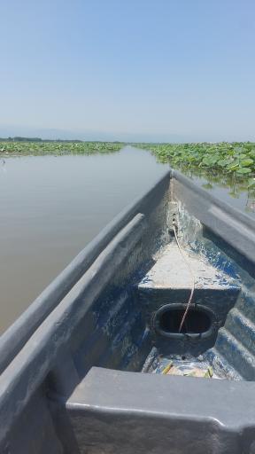 عکس اسکله قایق سواری