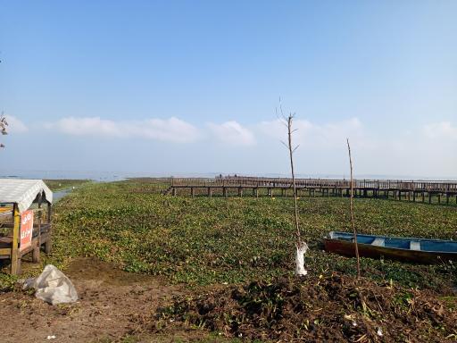 عکس اسکله قایق سواری