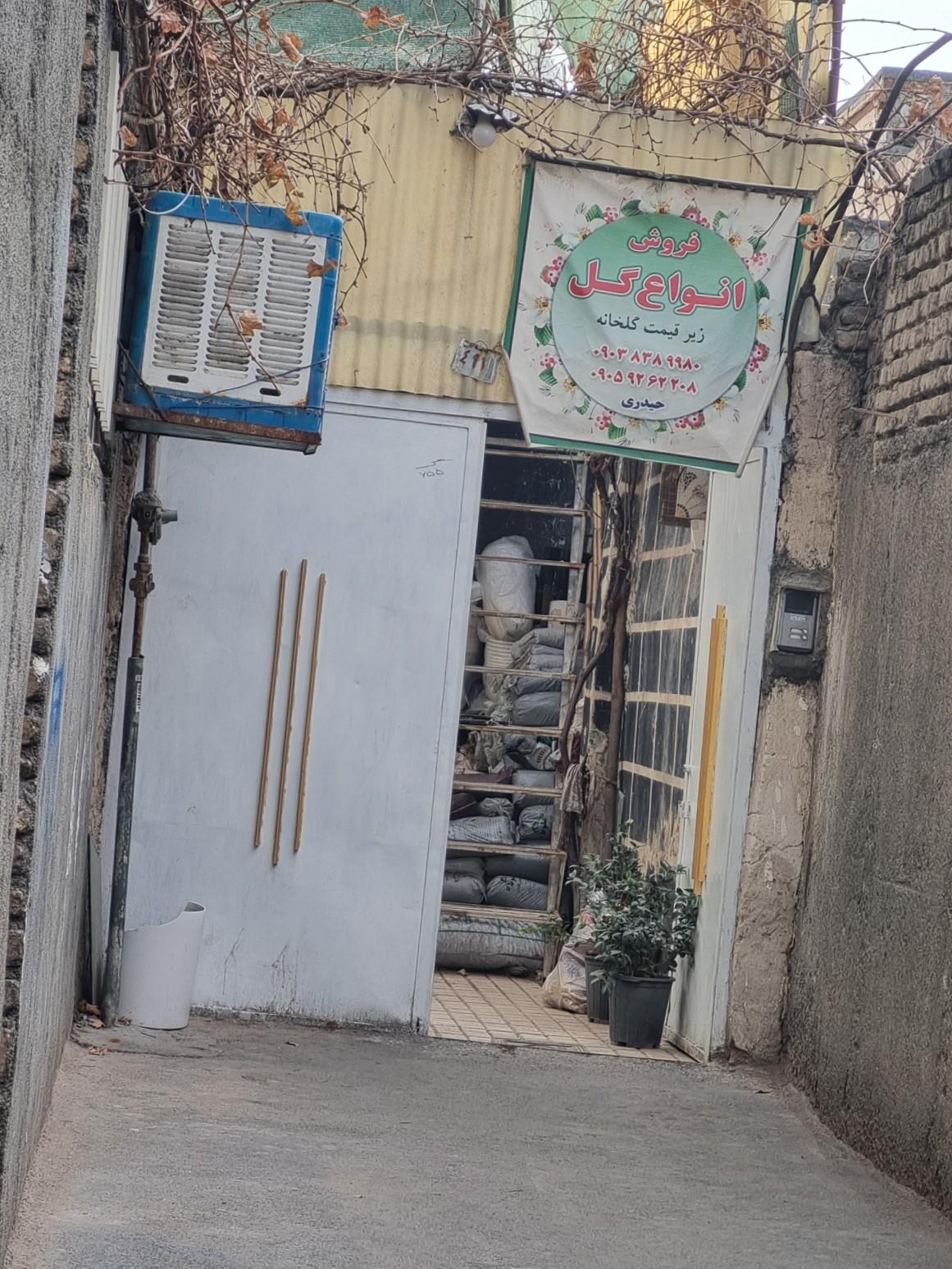 عکس گل فروشی حیدری