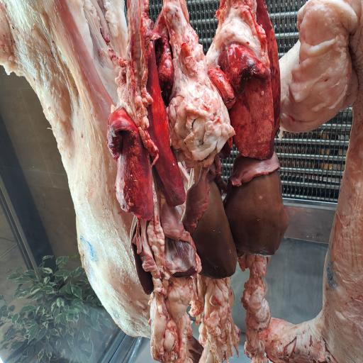 عکس فروشگاه فرآورده‌های گوشتی و پروتئینی گوشتالو