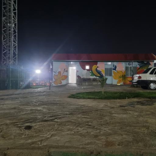 سرویس بهداشتی