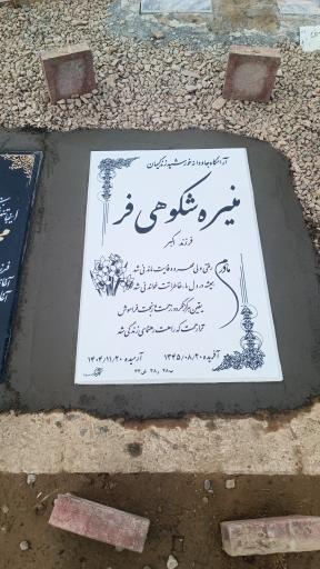 عکس مزار  منیره شکوهی فر