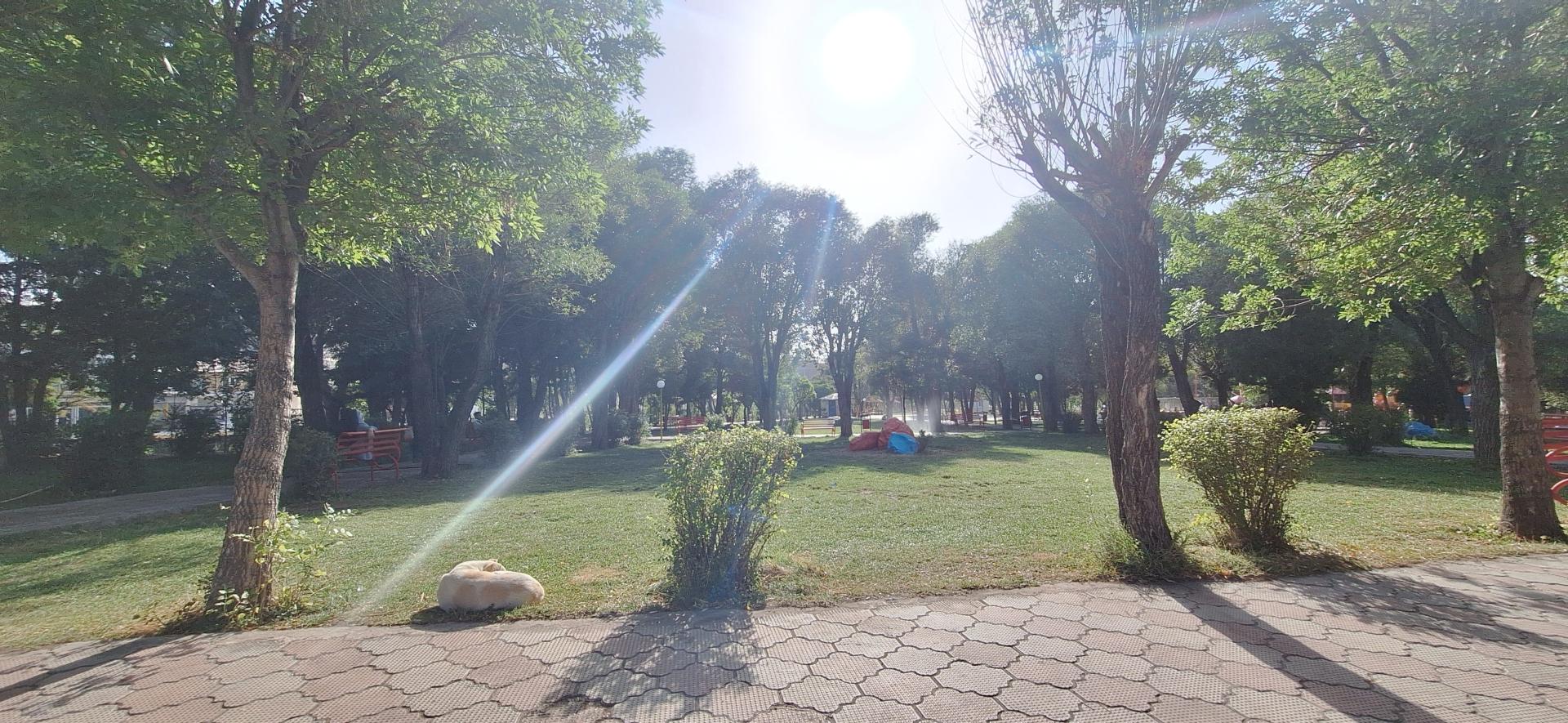 عکس پارک چمران