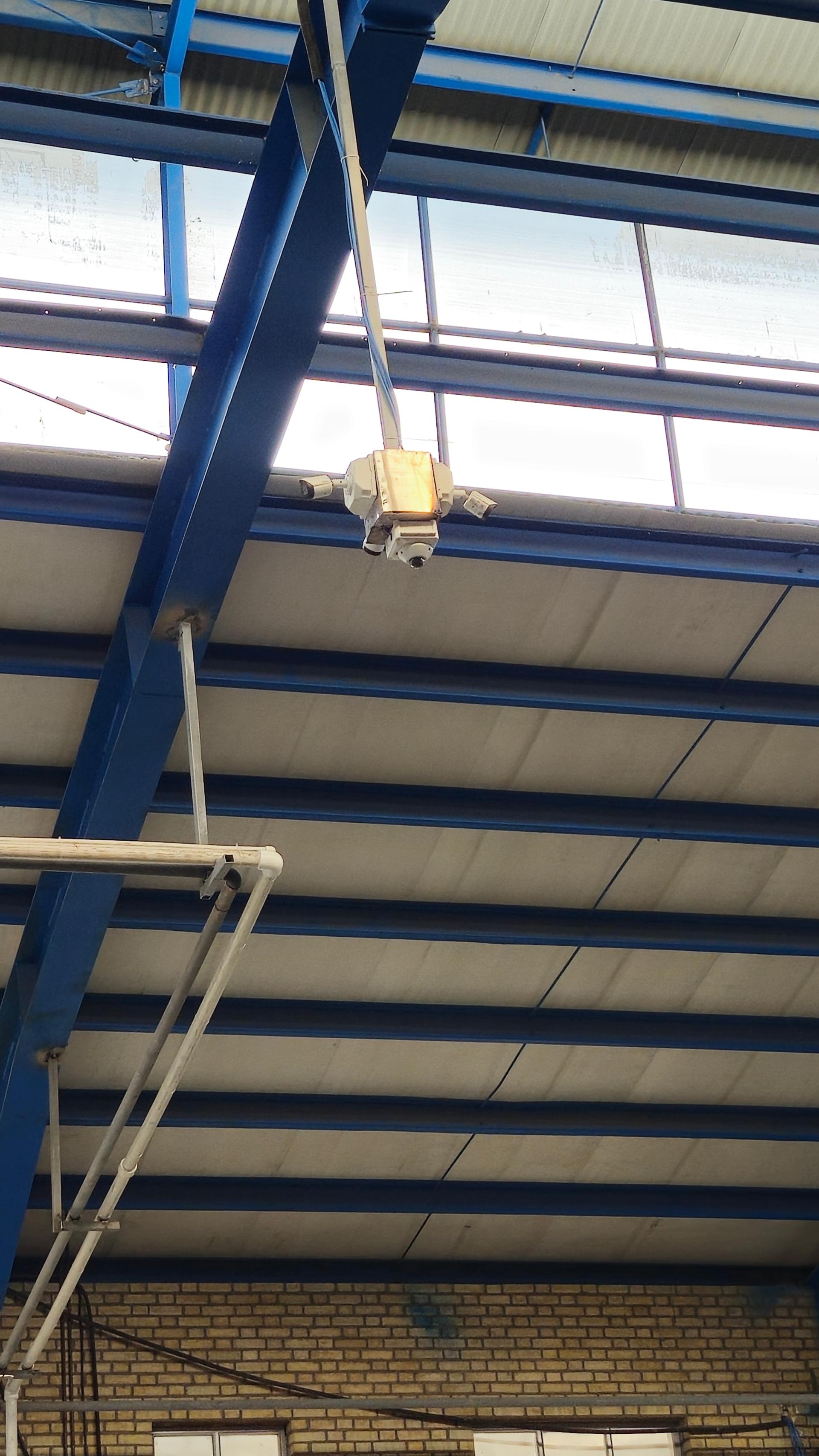 عکس بوژان آرایه پرتو