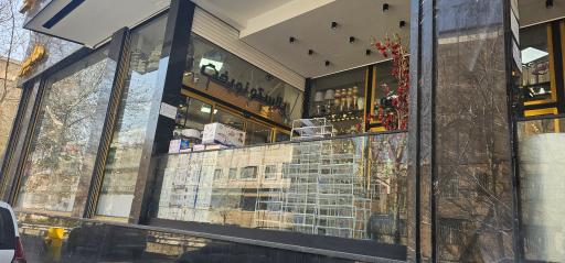 پلاسکو نوبخت