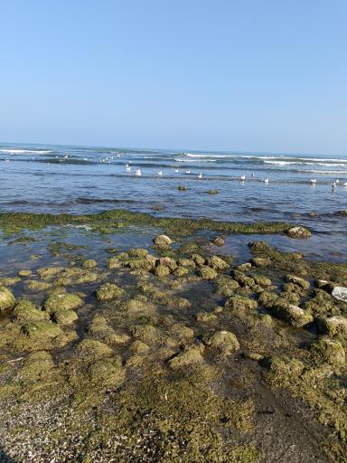 عکس ساحل رادیو دریا