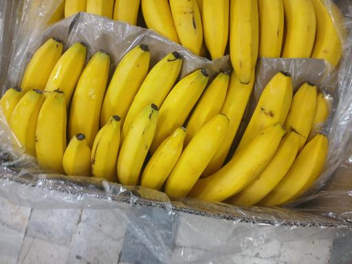 میوه فروشی برادران جابری