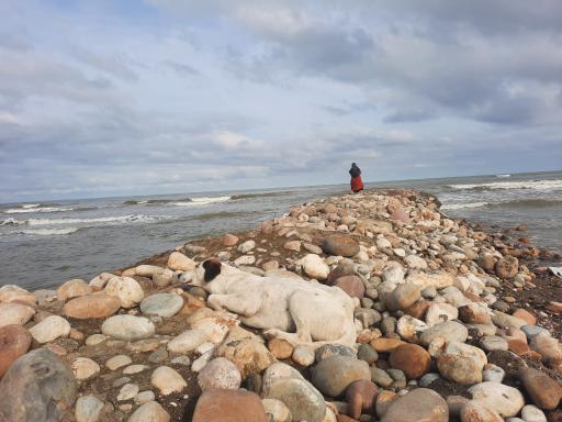 عکس ساحل رادیو دریا