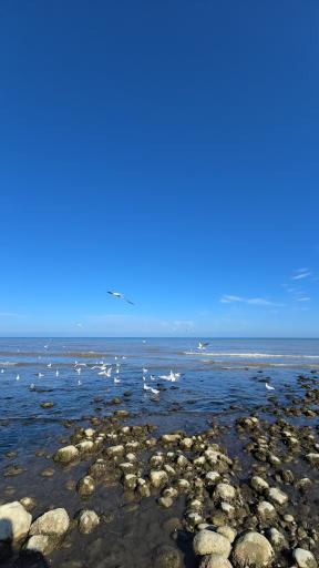 عکس ساحل رادیو دریا