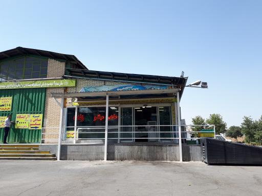 عکس بازار ماهی