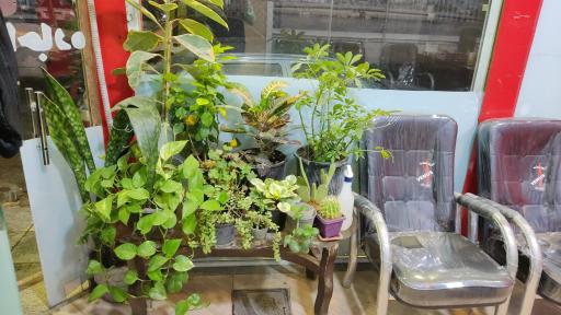 عکس مسکن معین 