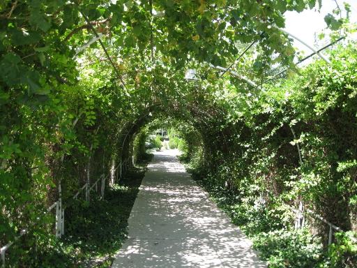 عکس باغ تحقیقاتی و گیاه‌شناسی دانشگاه تبریز