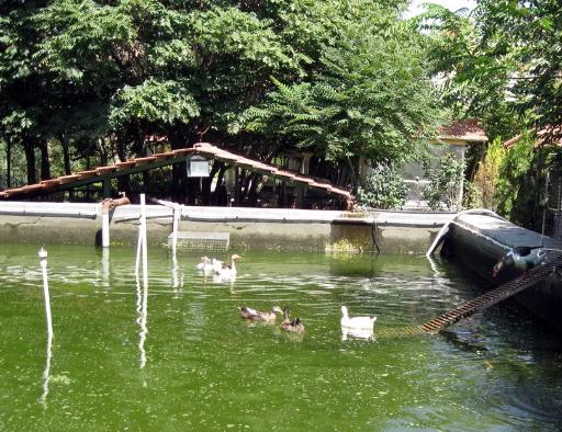 عکس باغ تحقیقاتی و گیاه‌شناسی دانشگاه تبریز