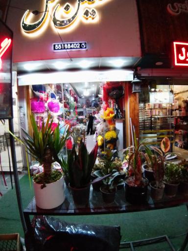 عکس سلین گل