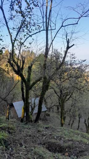 عکس روستای مازوکله پشته واجارگاه