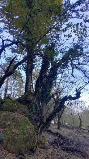 عکس روستای مازوکله پشته واجارگاه