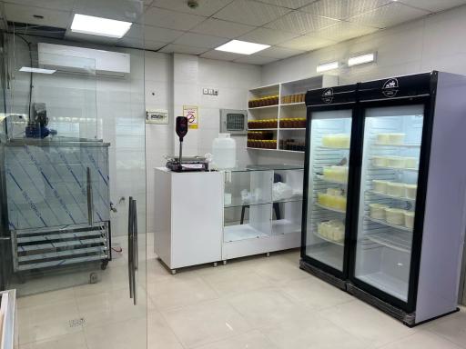 عکس لبنیات سنتی ماستینه