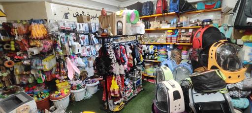 عکس پت شاپ هایپر خرگوش 