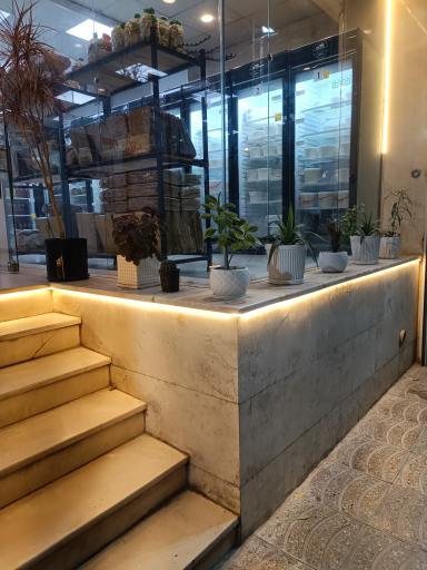 عکس لبنیات سنتی ماستینه