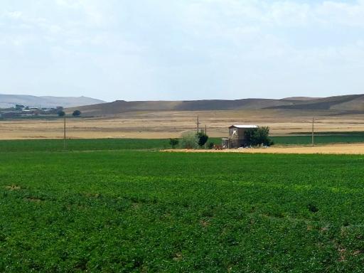 عکس اشترینان