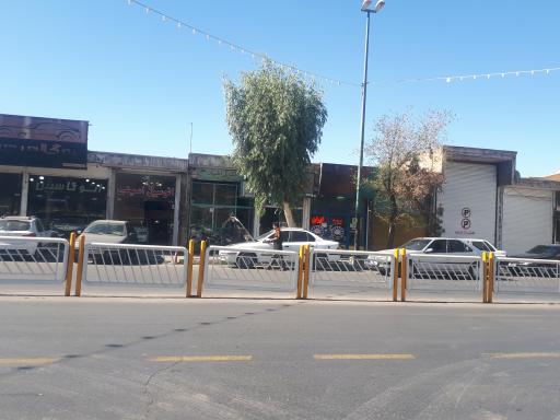 عکس اتو گالری امینی